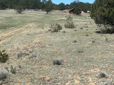 5.01 Acre Lot with Power & Phone for Sale in Cotopaxi CO - image 9
