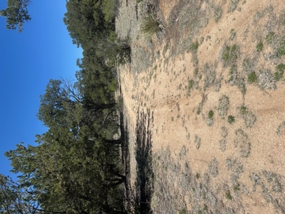 5.01 Acre Lot with Power & Phone for Sale in Cotopaxi CO - image 6
