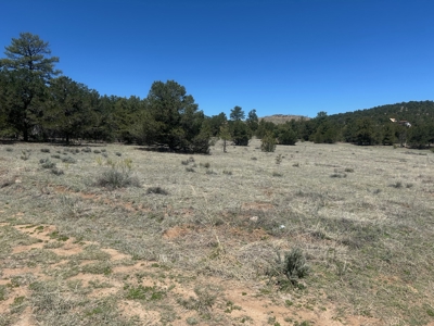 5.01 Acre Lot with Power & Phone for Sale in Cotopaxi CO - image 4
