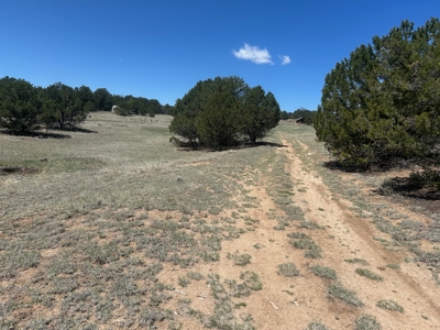 5.01 Acre Lot with Power & Phone for Sale in Cotopaxi CO - image 7