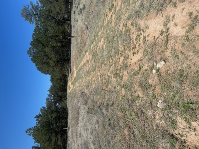 5.01 Acre Lot with Power & Phone for Sale in Cotopaxi CO - image 3