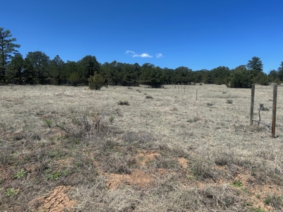 5.01 Acre Lot with Power & Phone for Sale in Cotopaxi CO - image 1
