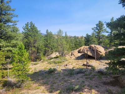 Fox Acres Golf Lot - image 1