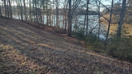 Lake Lookout waterfront lot, Stony Pt, NC  Sunset views !!! - image 11