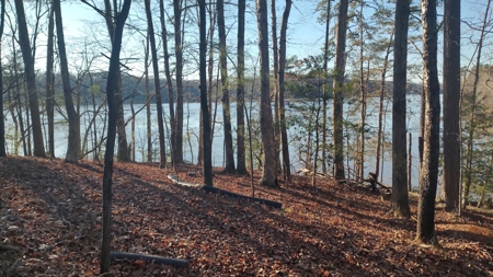 Lake Lookout waterfront lot, Stony Pt, NC  Sunset views !!! - image 5
