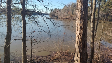 Lake Lookout waterfront lot, Stony Pt, NC  Sunset views !!! - image 1