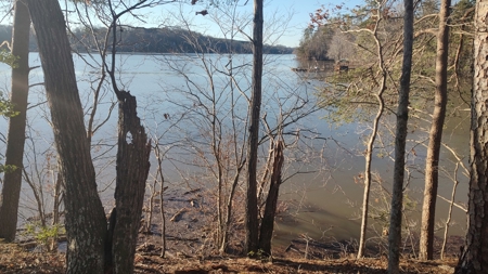 Lake Lookout waterfront lot, Stony Pt, NC  Sunset views !!! - image 6
