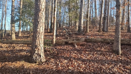 Lake Lookout waterfront lot, Stony Pt, NC  Sunset views !!! - image 10