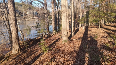 Lake Lookout waterfront lot, Stony Pt, NC  Sunset views !!! - image 8