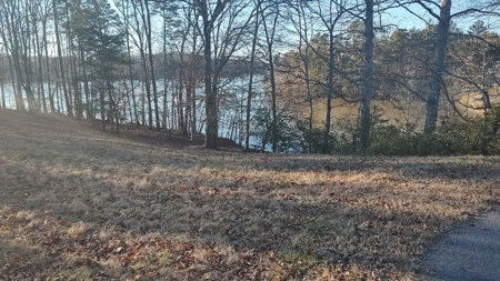 Lake Lookout waterfront lot, Stony Pt, NC  Sunset views !!! - image 3