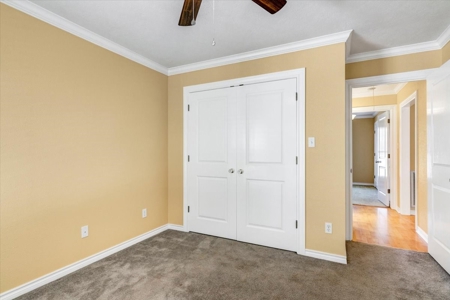 5 acres Home with In-Law Suite, Pool - image 34