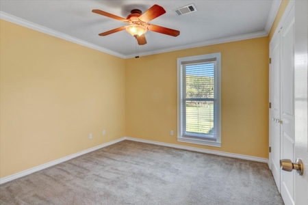 5 acres Home with In-Law Suite, Pool - image 30