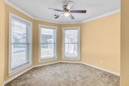 5 acres Home with In-Law Suite, Pool - image 33
