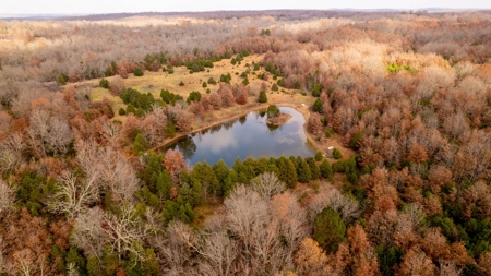 Ozarks Country Home With Acreage In Arkansas - image 27