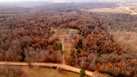 Ozarks Country Home With Acreage In Arkansas - image 23
