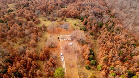 Ozarks Country Home With Acreage In Arkansas - image 24