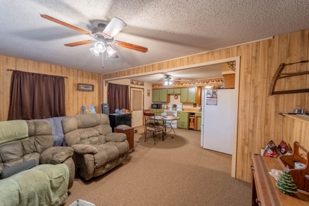 Ozarks Country Home With Acreage In Arkansas - image 10