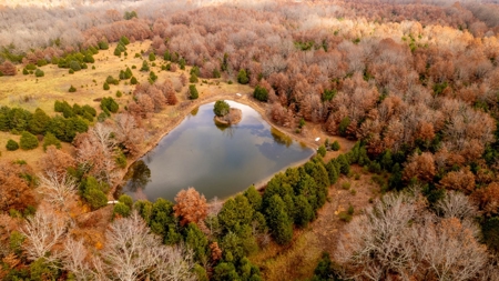 Ozarks Country Home With Acreage In Arkansas - image 28