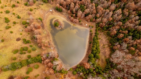 Ozarks Country Home With Acreage In Arkansas - image 29