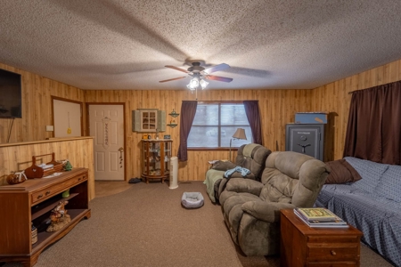 Ozarks Country Home With Acreage In Arkansas - image 9