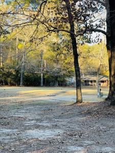Wildwood Golf Course, 14th Hole Lot 11,  Village Mills, TX - image 6