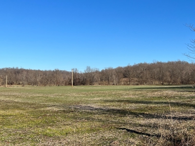 Farm Ground - image 1