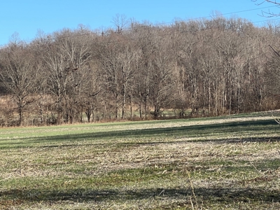 Farm Ground - image 3