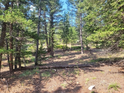 Fox Acres Golf Lot - image 1