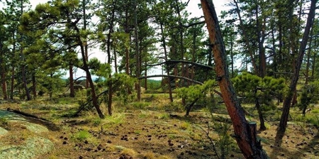 Fox Acres Golf Lot - image 1