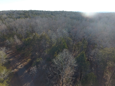 4.3 On Bull Shoals Lake Peninsula in Ozark County Missouri - image 17