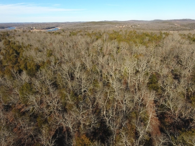 4.3 On Bull Shoals Lake Peninsula in Ozark County Missouri - image 7