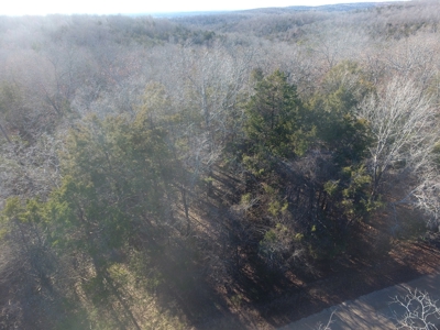 4.3 On Bull Shoals Lake Peninsula in Ozark County Missouri - image 3