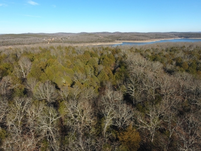 4.3 On Bull Shoals Lake Peninsula in Ozark County Missouri - image 6