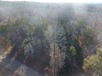 4.3 On Bull Shoals Lake Peninsula in Ozark County Missouri - image 2