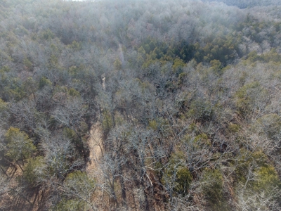 4.3 On Bull Shoals Lake Peninsula in Ozark County Missouri - image 5