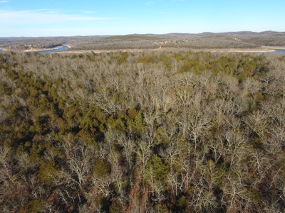 4.3 On Bull Shoals Lake Peninsula in Ozark County Missouri - image 12