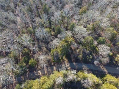 4.3 On Bull Shoals Lake Peninsula in Ozark County Missouri - image 9