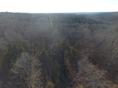 4.3 On Bull Shoals Lake Peninsula in Ozark County Missouri - image 16