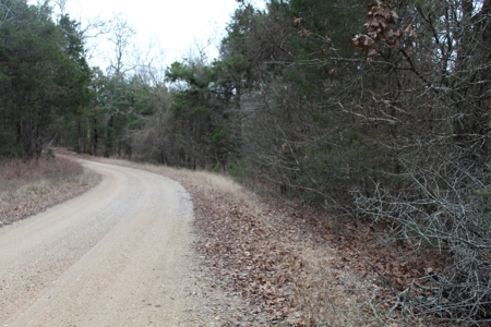 4.3 On Bull Shoals Lake Peninsula in Ozark County Missouri - image 20