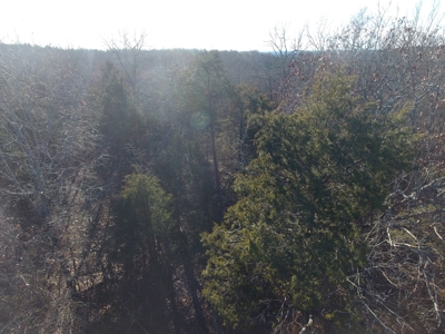 4.3 On Bull Shoals Lake Peninsula in Ozark County Missouri - image 15