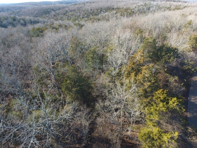 4.3 On Bull Shoals Lake Peninsula in Ozark County Missouri - image 4