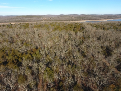 4.3 On Bull Shoals Lake Peninsula in Ozark County Missouri - image 11