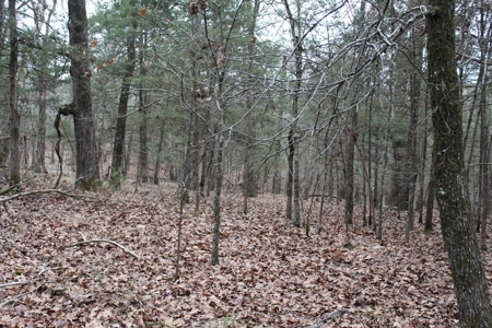 4.3 On Bull Shoals Lake Peninsula in Ozark County Missouri - image 27