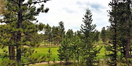 Fox Acres Golf Lot - image 1