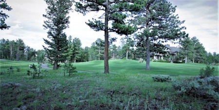 Fox Acres Golf Lot - image 1
