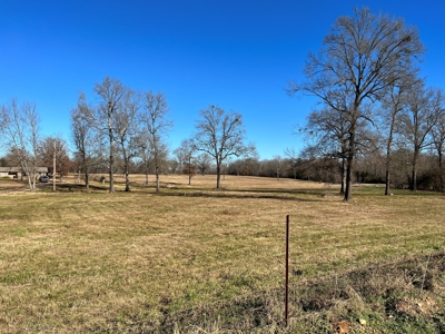 Idabel Oklahoma Land for Sale | McCurtain County - image 3
