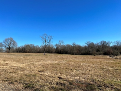Idabel Oklahoma Land for Sale | McCurtain County - image 8