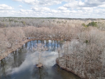 Mississippi Land for Sale Montgomery County - image 33