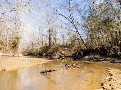 Mississippi Land for Sale Montgomery County - image 13