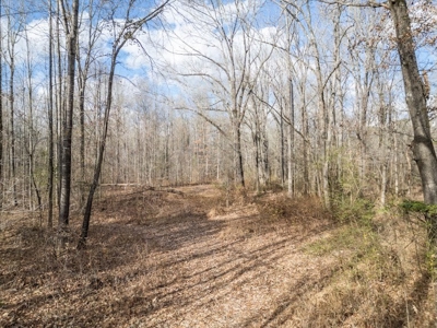 Mississippi Land for Sale Montgomery County - image 37